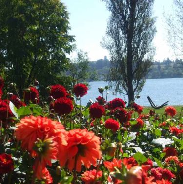 Бодензее - Баварски замъци - Залцбург - Мюнхен